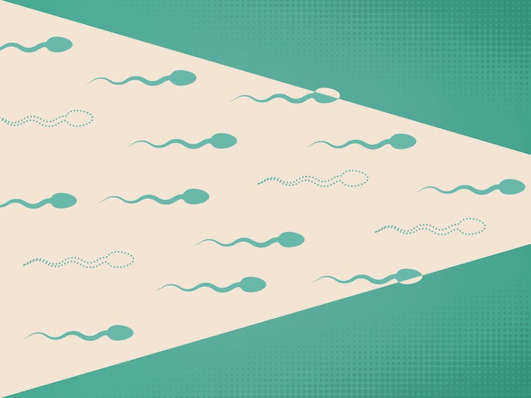 Male birth control options are in development, but a number of barriers still stand in the way
